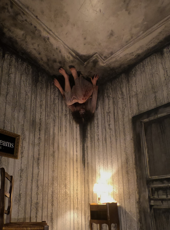 plus grand labyrinthe horreur paris The Dark Dreams